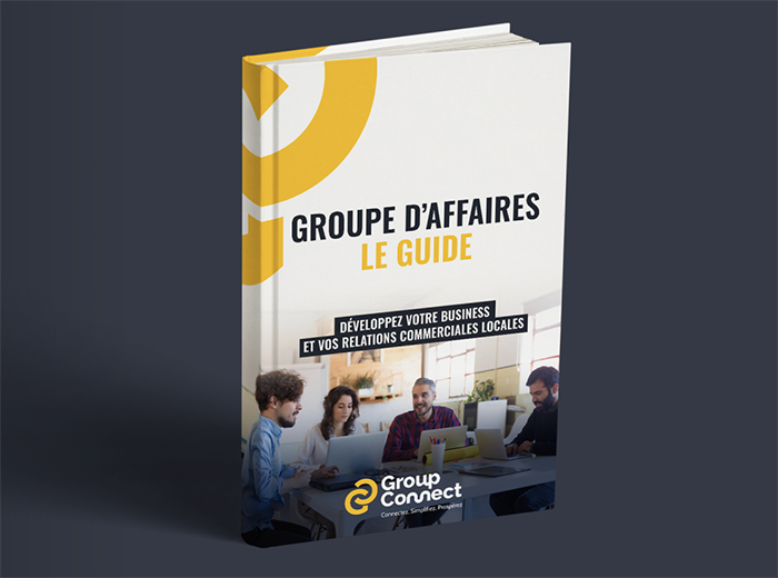 E-Book Groupe d'affaires - Le guide